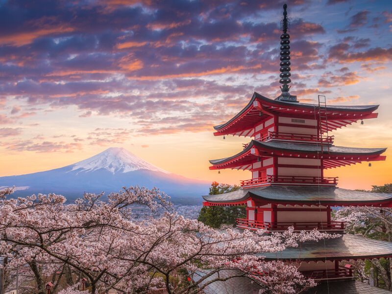 Comfort Japonya Turu Etihad Hava Yolları ile 7 gece Ekstra Turlar ve Çay Seramonisi