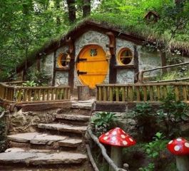 Kasım Ara Tatili Günübirlik Maşukiye Cam Teras Ormanya Hobbit Turu