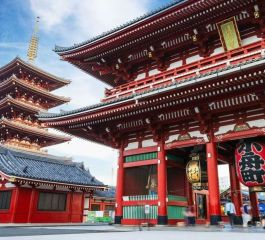 Thy Ile Grand Japonya Turu NRT-KIX - Vizesiz