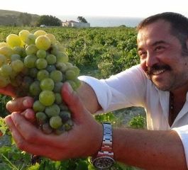 Bozcaada Assos Ayvalık Cunda Turu /  Bağbozumu Festivali