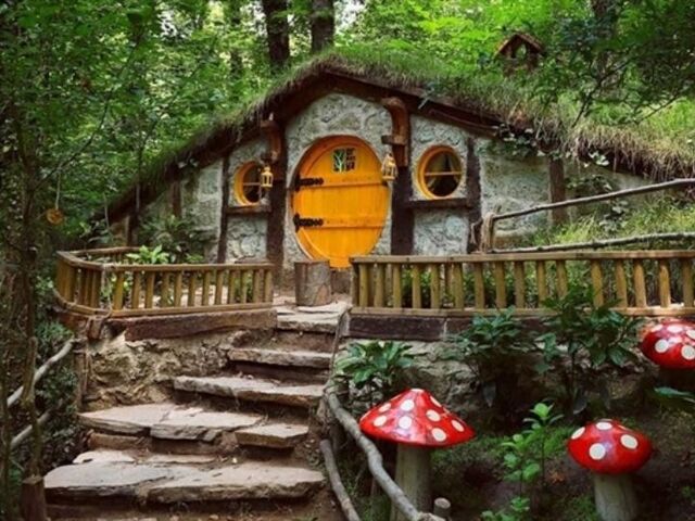 Günübirlik Maşukiye Cam Teras Ormanya Hobbit Turu