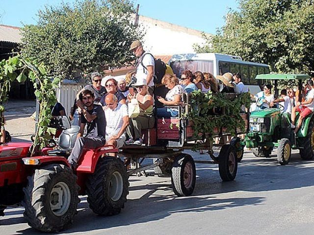 Bozcaada Assos Ayvalık Cunda Turu /  Bağbozumu Festivali